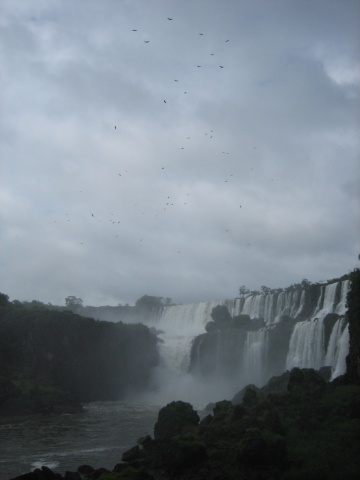 All those black specks are big raptors.
