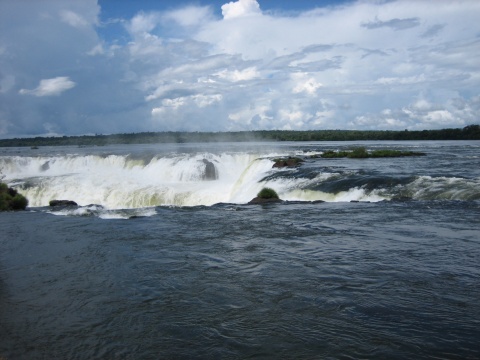 The top of Garganta del Diablo.  It's amazing how calm the water and wildlife are above the thunderous falls.