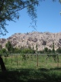 argentina06/thumb/IMG_0665_thumb.jpg