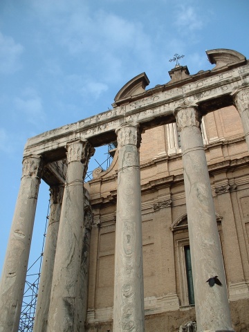 The Forum.