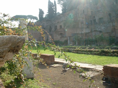 The Forum.