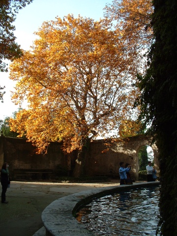 Villa D'Este.