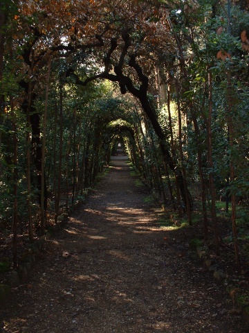 Boboli Garden.